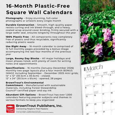 2026 BrownTrout Florida Nature 12" x 12" Monthly Wall Calendar (9798330703265)