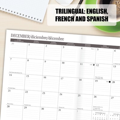 2025-2026 Willow Creek Who's Afraid 7.5" x 9.5" Academic Year Monthly Planner, Multicolored (54895)