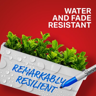 Sharpie The Ultimate Collection Permanent Markers, Assorted Tips, Assorted Colors, 72/Pack  (1983254)