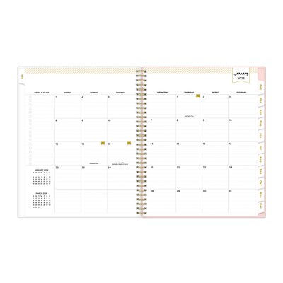2026 Blue Sky Day Designer Coming Up Roses Blush 8.5" x 11"  Weekly & Monthly Planner, Plastic Cover, Multicolored (140092-26)