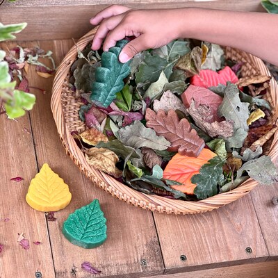 Yellow Door Sensory Play Stones, Leaves, Multicolored, 12 Pieces/Set (YUS1218)