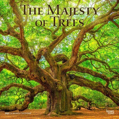 2025 BrownTrout The Majesty of Trees 12" x 12" Monthly Square Wall Calendar (9781975477394)
