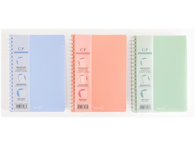 Carolina Pad Noted Executive Professional Notebook, 5.25" x 7", College-Ruled, 100 Sheets, Assorted Colors (35083)