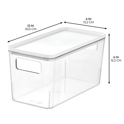 Pantry Bin with Lid - Plastic Storage Bin with Handles for Fridge or Kitchen Cabinets