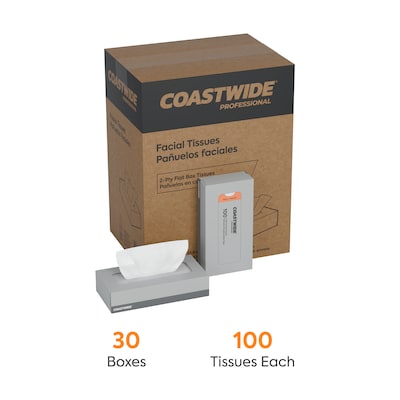 Coastwide Professional Facial Tissue, 2-Ply, 100 Sheets/Box, 30 Boxes/Carton