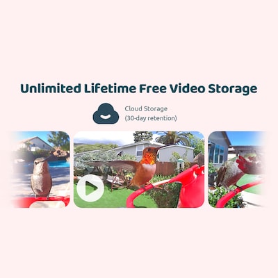 Birdfy Smart Hummingbird Feeder Duo with 2 Cameras, Solar Panel and Free AI Lifetime Subscription, Red (EPPAMBNI8501110)