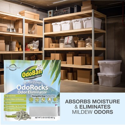 OdoBan Air Purifying OdoRocks Deodorizer Solid, 32 oz. (979561-2P)