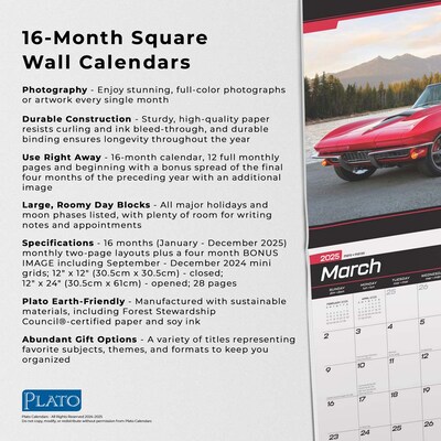 2025 Plato American Sports Cars 12" x 12" Monthly  Wall Calendar (9781975480103)