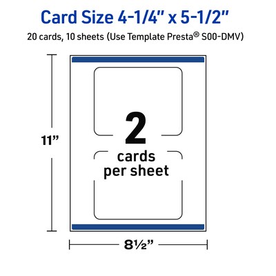Avery Gold Double Border with Florals Matte Blank Card, White, 20/Pack (S00-DMV)