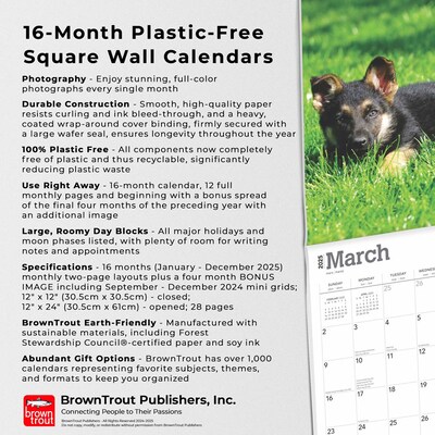 2025 BrownTrout German Shepherd Puppies 12" x 12" Monthly Square Wall Calendar (9781975477004)