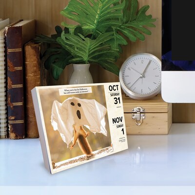 2026 Willow Creek Gettin' Squirrelly 6.2" x 5.4" Day-to-Day Calendar (54185)