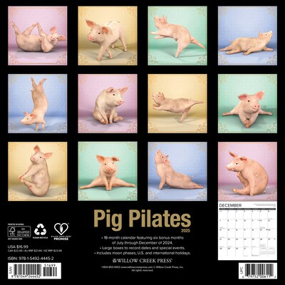 2025 Willow Creek Pig Pilates 12 x 12 Monthly Wall Calendar (44452)