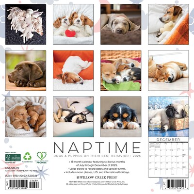 2026 Willow Creek Naptime: Dogs & Puppies on their Best Behavior 12 x 12 Monthly Wall Calendar (52099)