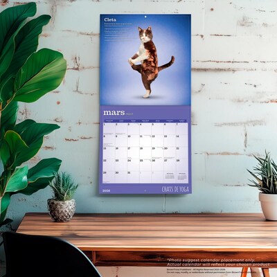 2026 BrownTrout Chats de Yoga OFFICIEL 12" x 12" Monthly Wall Calendar (9798330707348)