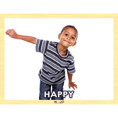 Mojo Range of Emotions Puzzle Set, 8/Set (MJ-345407)