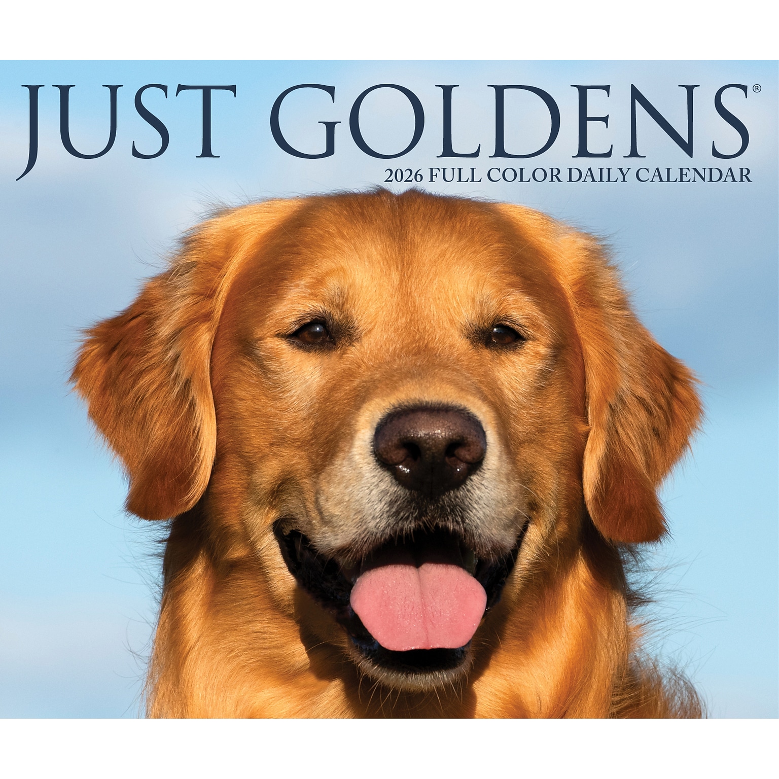 2026 Willow Creek Goldens 6.2 x 5.4 Day-to-Day Calendar (54192)