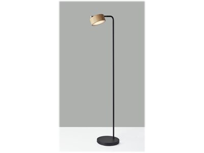 Adesso Roman 55 Metal/Wood Floor Lamp with Drum Shade (6107-01)