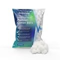 FifthPulse Premium Cotton Balls, 100/Pack (FMN100534)