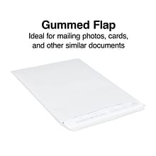 Staples Gummed Catalog Envelopes, 9 x 12, Gray, 100/Box (SPL381968)