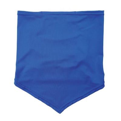 Ergodyne Chill-Its Cooling Bandana, Blue, Large/Extra-Large (42136)