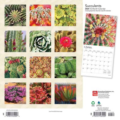 2024 BrownTrout Succulents 12" x 12" Monthly Wall Calendar (9781975465209)