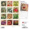 2024 BrownTrout Succulents 12 x 12 Monthly Wall Calendar (9781975465209)