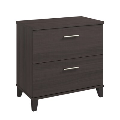 Bush Furniture Somerset 2-Drawer Lateral File Cabinet, 29 x 30, Letter/Legal, Storm Gray (WC81580)