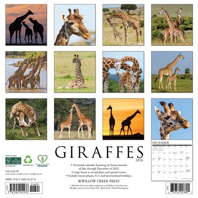 2026 Willow Creek Giraffes 12 x 12 Monthly Wall Calendar (51276)