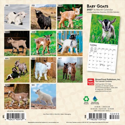 2027 BrownTrout Baby Goats 7 x 7 Monthly Wall Calendar, Assorted Colors (9798330709762)