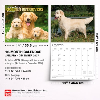 2027 BrownTrout For the Love of Golden Retrievers 14" x 12" Monthly Wall Calendar, Assorted Colors (9798330709267)