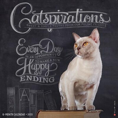 2025 Willow Creek Catspirations 12 x 12 Monthly Wall Calendar (42250)