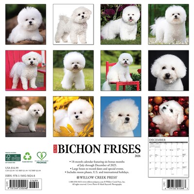 2026 Willow Creek Bichon Frises 12 x 12 Monthly Wall Calendar (50248)