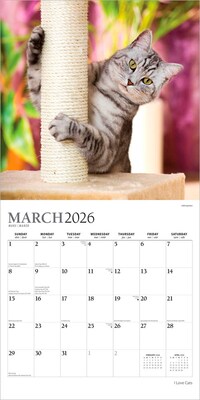 2026 Plato I Love Cats 12" x 12" Monthly Wall Calendar (9798330706808)
