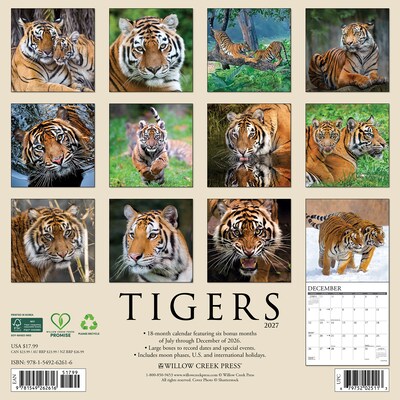 2027 Willow Creek Tigers 12 x 12 Monthly Wall Calendar, Assorted Colors (62616)