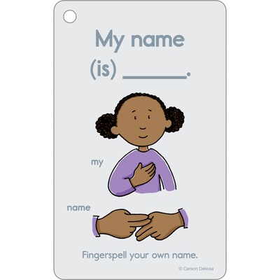 Carson-Dellosa Education Sign Language Flash Cards, 216/Pack (CD-734108)