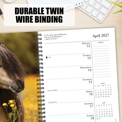 2027 Willow Creek What Horses Teach Us 6.5" x 8.5" Weekly & Monthly Desk Calendar (64474)