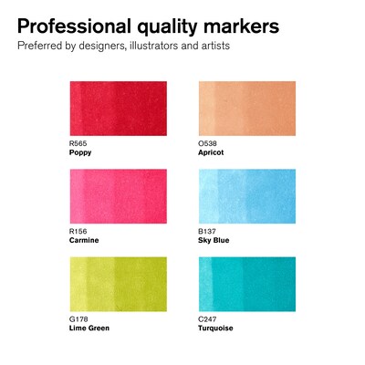 Winsor & Newton Promarker Dual-Tip Brush Alcohol Based Marker, Mid Tones, 6/Pack (WNX0290124)