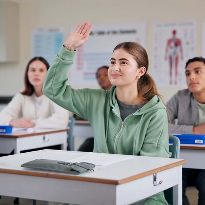 Luxor CellGuard Phone Pouch, Gray (CHZZ003)