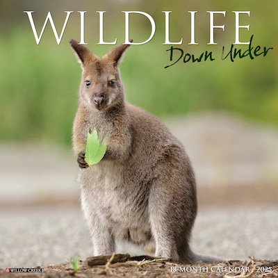 2025 Willow Creek Wildlife Down Under 12 x 12 Yearly Wall Calendar (46289)