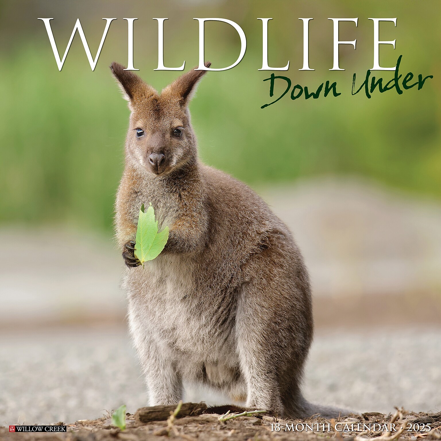 2025 Willow Creek Wildlife Down Under 12 x 12 Yearly Wall Calendar (46289)