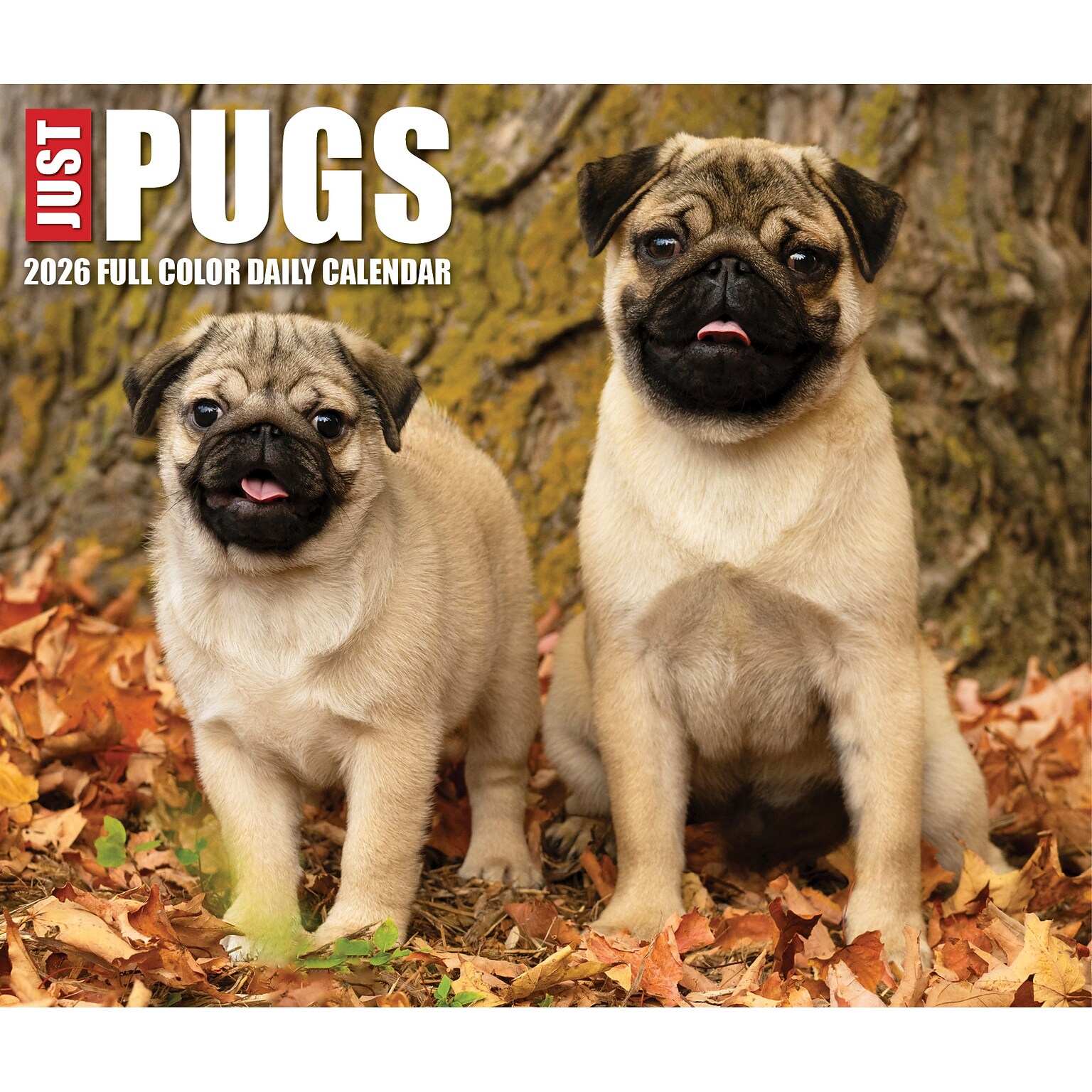 2026 Willow Creek Just Pugs 6.2 x 5.4 Day-to-Day Calendar (54376)