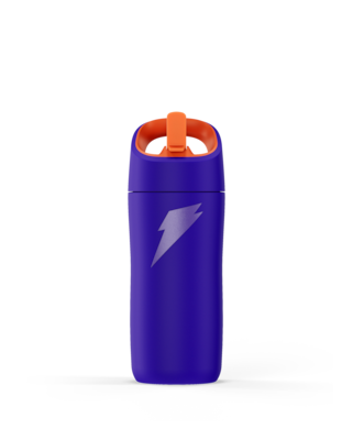 Gatorade Rookie Stainless Steel Water Bottle, 12 oz., Purple (05607)