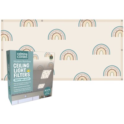 Teacher Created Resources Calming Covers Ceiling Light Filters, 2' x 4', Modern Rainbow, 4/Pack (TCR20142)