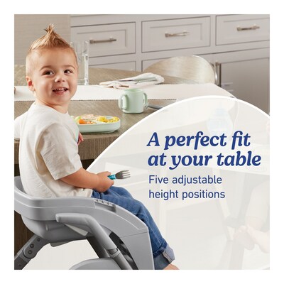 Graco DuoDiner DLX High Chair, Gray (2216158)