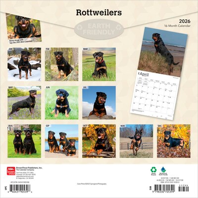 2026 BrownTrout Rottweilers 12 x 12 Monthly Wall Calendar (9798330705399)