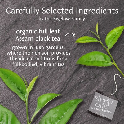 Steep Café Organic English Breakfast Tea, 50 Count (RCB19971)