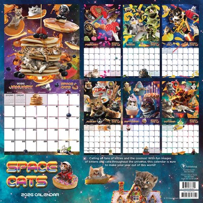 2026 TF Publishing Space Cats 12" x 12" Monthly Wall Calendar (26-1026)