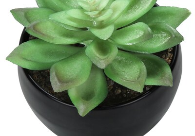 Monarch Specialties Inc. 6" Artificial Succulent Plants, 3/Set (I 9556)