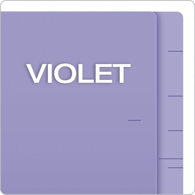 Pendaflex Recycled End Tab File Folder, Straight Cut, Letter Size, Purple, 100/Box (H110DPR)