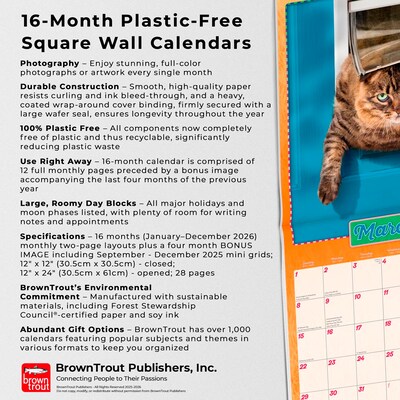2026 BrownTrout Cranky Kitties 12" x 12" Monthly Wall Calendar (9798330701414)
